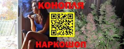 spice Мариинск