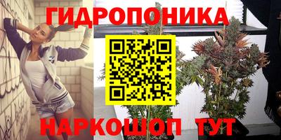 молекула духа Малоярославец