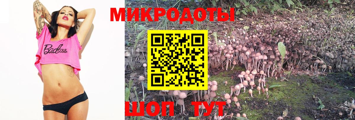 Елизово  Псилоцибиновые грибы мицелий  Вход с VPN  Галлюциногенные грибы Magic Shrooms 
